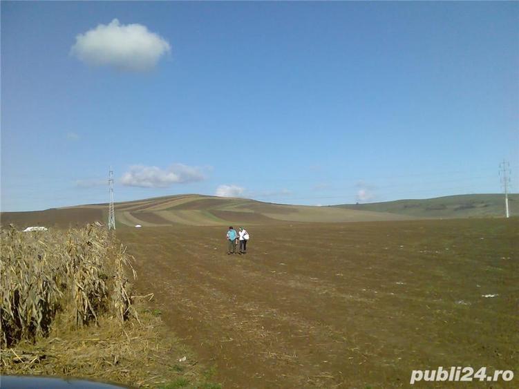 Teren de 3935 mp, în Nazna