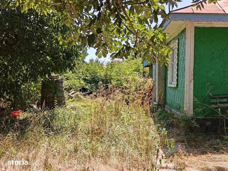 Doua case si 9.300 mp de teren in zona Bogdanesti - 1
