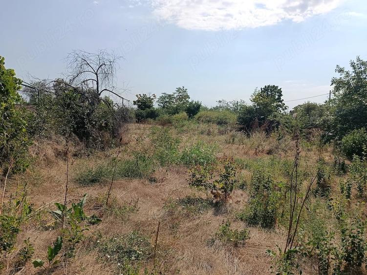 Casă cu Teren 2800 Mp în Ciurari