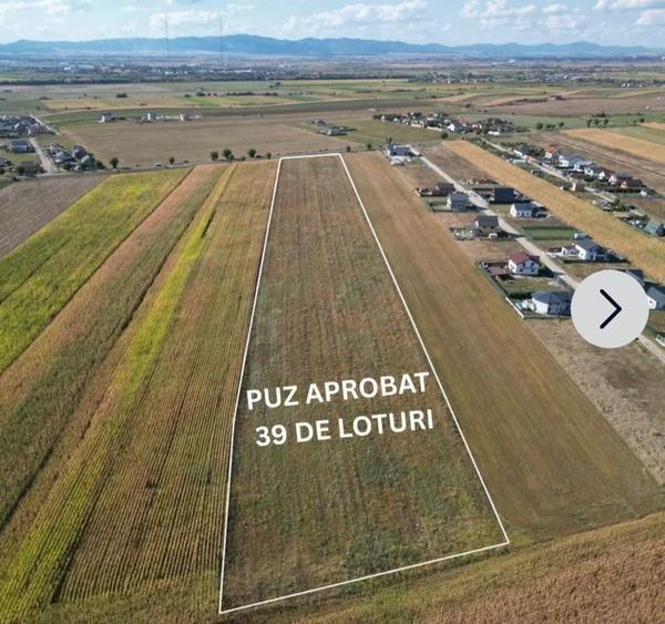 Teren de 30000 mp, în Bod