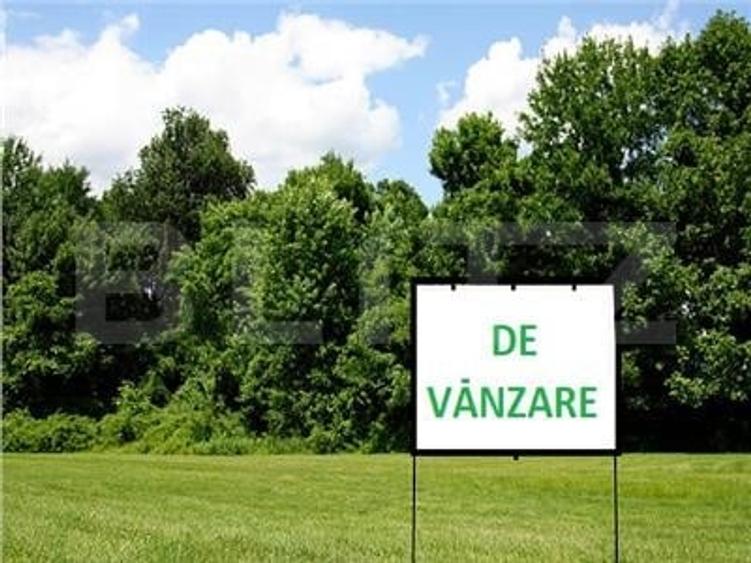 Teren Construcții extravilan de 3300 mp, în Burdujeni