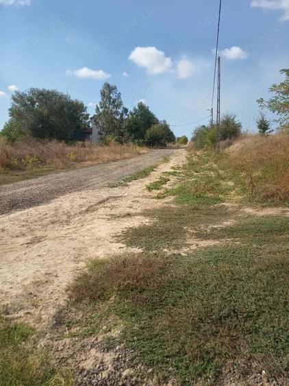 Teren de 1500 mp, în Telița