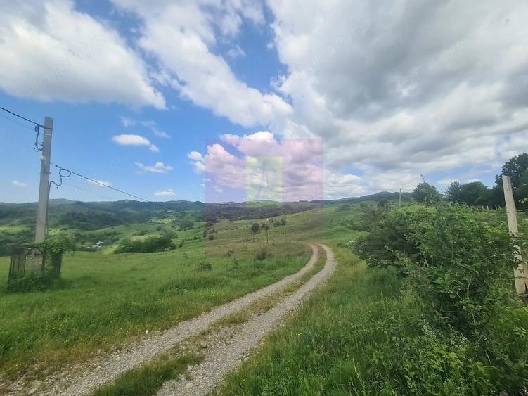 Teren de 9037 mp, în Central