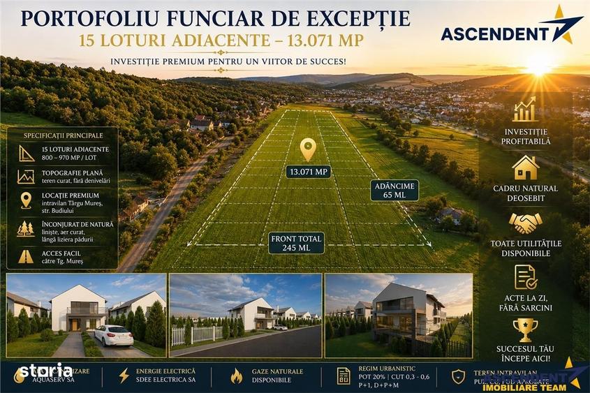 Spațiu comercial, în Budiului