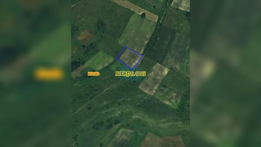 Teren de 7800 mp, în Livada (Iclod)