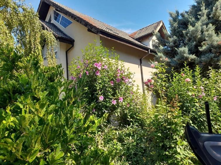 Casă cu 7 camere cu Teren 970 Mp în 1 Decembrie