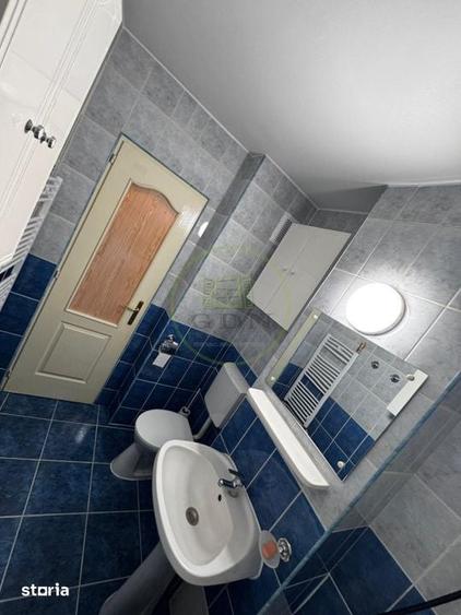 Apartament Spatios cu 3 camere Vasile Aaron - 19