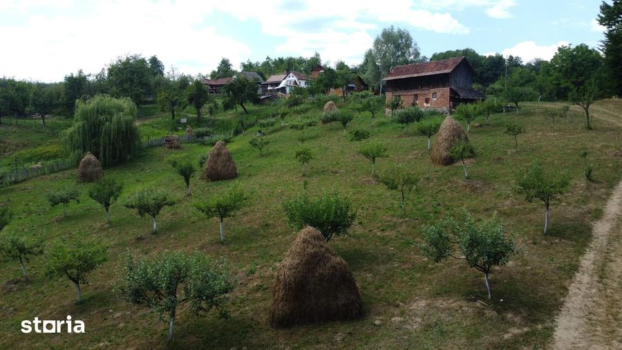Teren de 6200 mp, în Cicănești