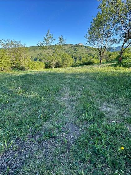 Teren de 975 mp, în Ampoița