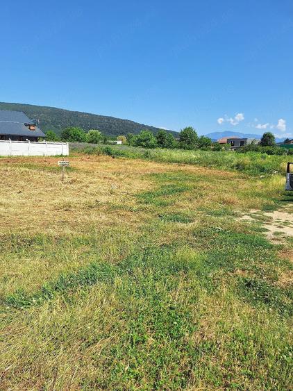 Teren de 625 mp, în Olteni