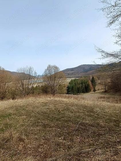 Teren Darmanesti, zona lac Valea Uzului, 3200 mp - 5