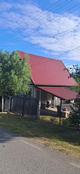 Casă cu 3 camere în Borșa