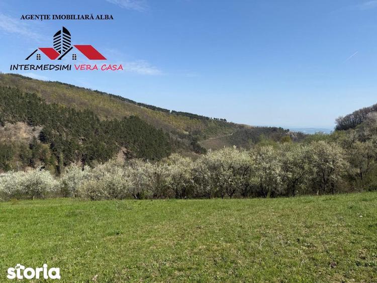 Teren de 13698 mp, în Vințu de Jos
