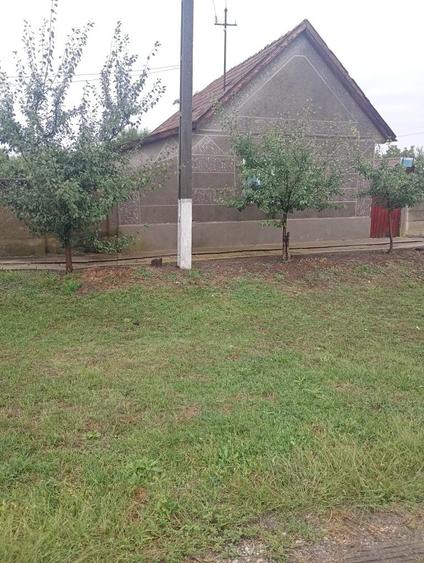 Casă cu 2 camere în Dorobanți