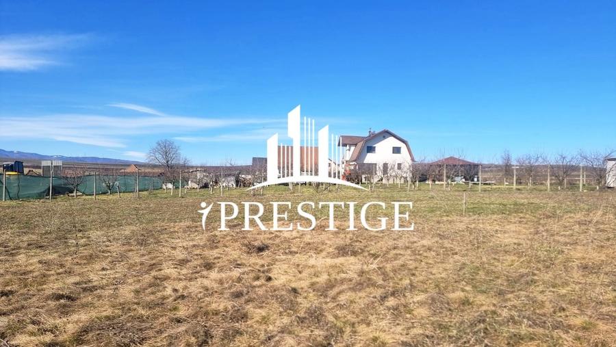 Teren agricol extravilan de 873 mp, în Șura Mică