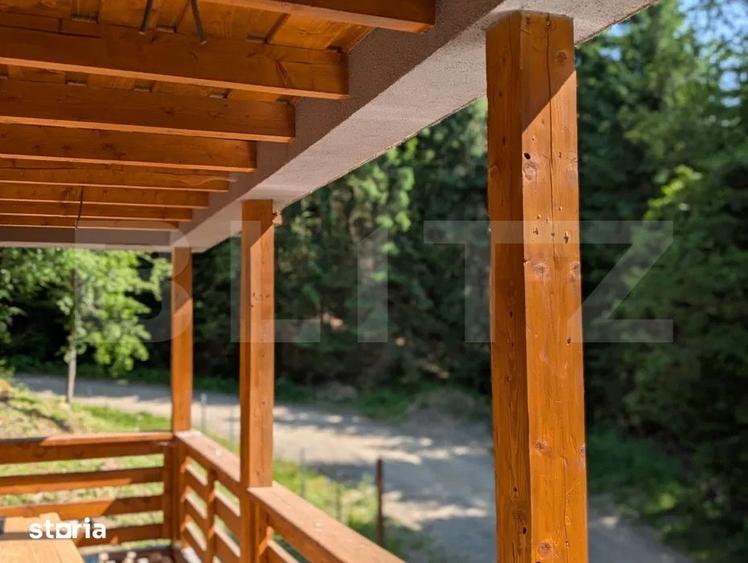 Cabana/Pensiune de vanzare in Colibita, cu acces la lac - 4