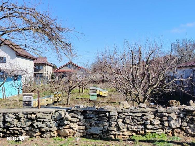 Teren de 1000 mp, în Limanu
