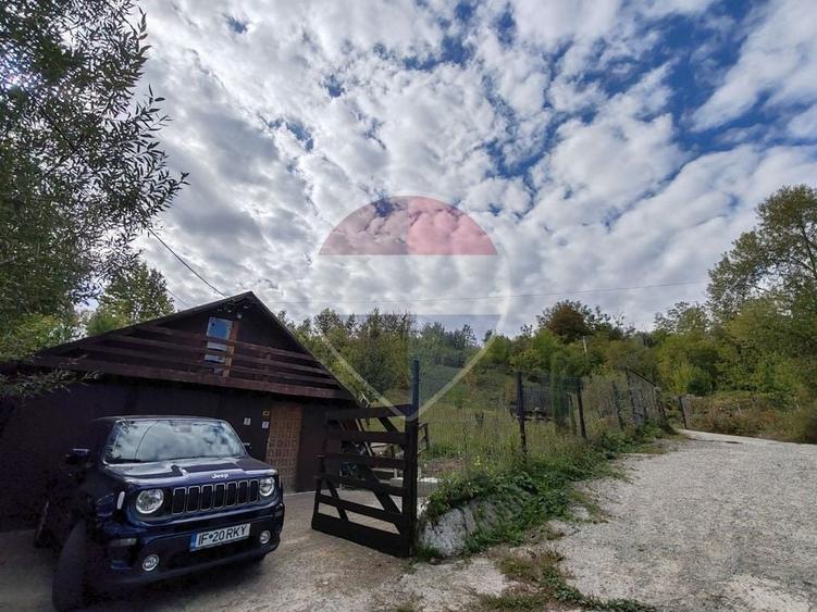 Teren Construcții intravilan de 5474 mp, în Provița de Jos