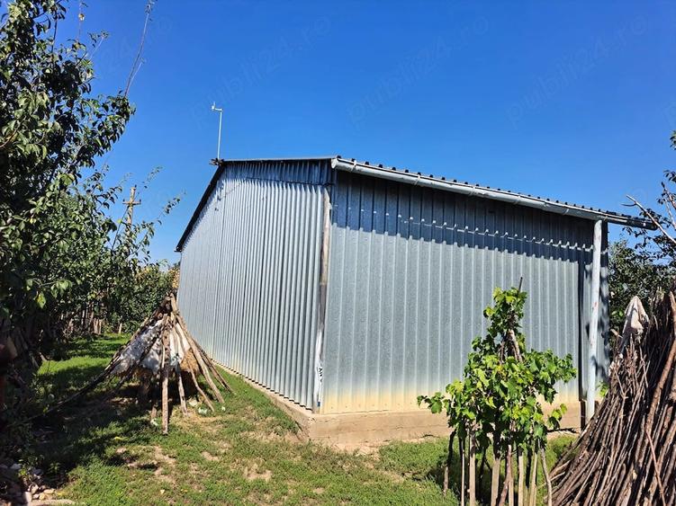 Casa + 9.500 mp teren + vie + livada | rebricea, la 30 km de ia?i | 185.000 - 1