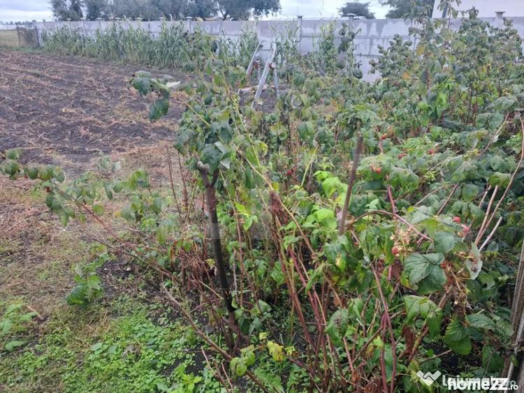 Casă cu 3 camere cu Teren 803 Mp în Hălchiu