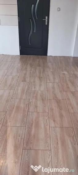 Casă cu 4 camere cu Teren 12000 Mp în Chelința