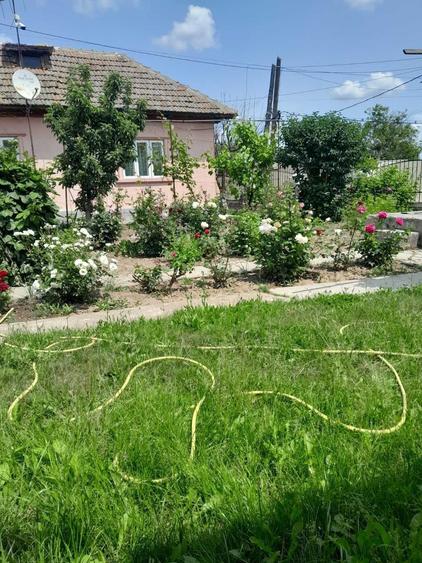 Casă cu 3 camere în Cobadin