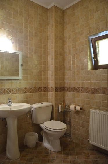 Busteni-Vila de vacanta ,amplasament special - 2