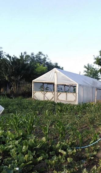 Casă cu Teren 2200 Mp în Crucea