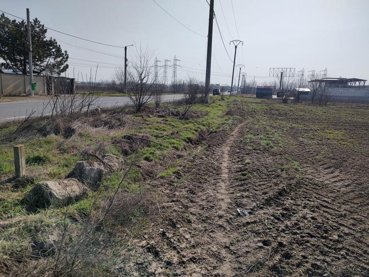 Teren de 5000 mp, în Frumușani