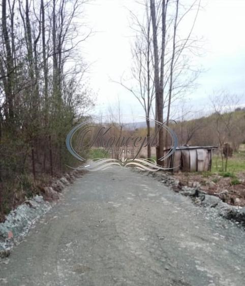 Teren agricol intravilan de 980 mp, în Ciurila