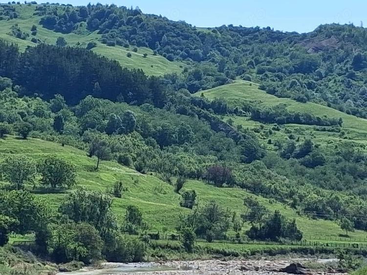 Teren de 5000 mp, în Chiojdu