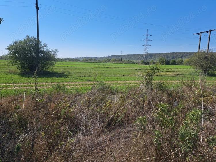 Teren de 7550 mp, în Boldești