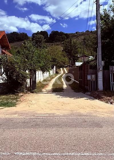 Teren agricol extravilan de 3000 mp, în Budeasa
