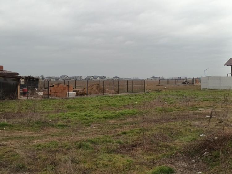 Teren Construcții intravilan de 539 mp, în Berceni