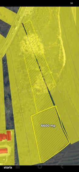 Oportunitate Investitie: Teren 6600 mp, Radaia (Baciu) - 1