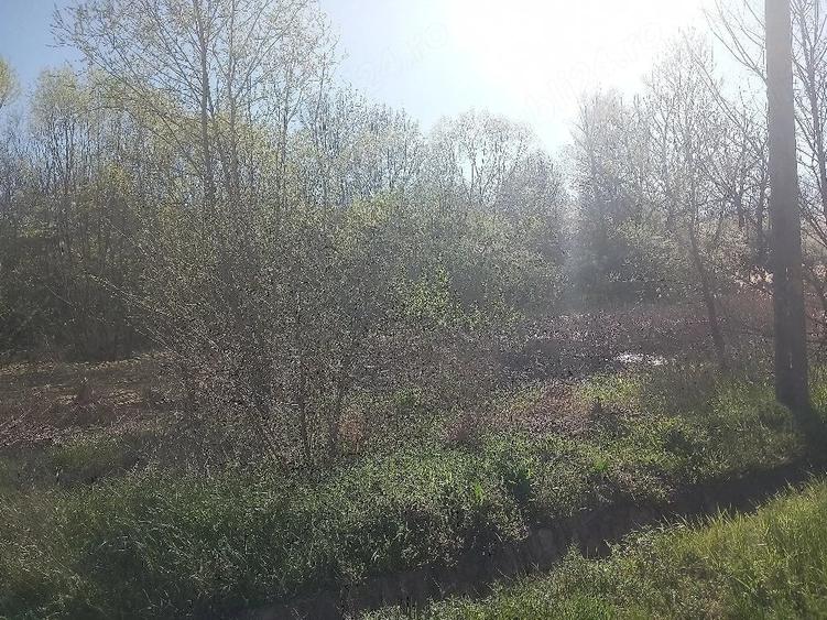 Casă cu 3 camere cu Teren 7300 Mp în Băleasa