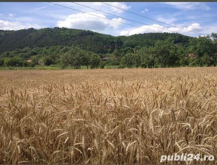 Teren de 5000 mp, în Racâș