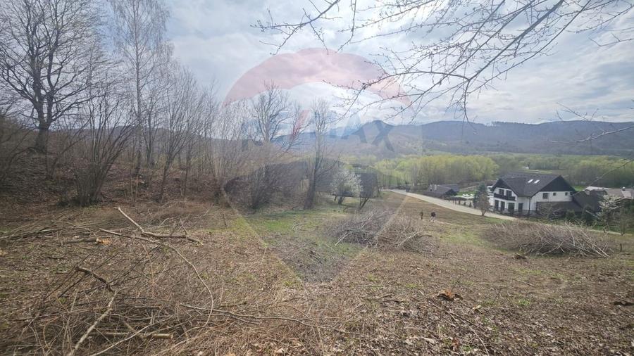 Teren Construcții intravilan de 2000 mp, în Cheile Râșnoavei