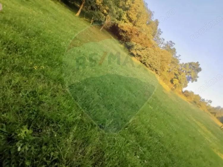 Teren de 6900 mp, în Breb