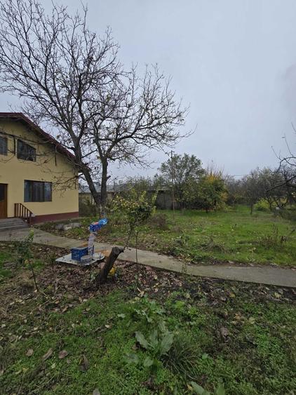 Vand 2 Case comuna Vedea judetul Giurgiu 4000m teren - 5