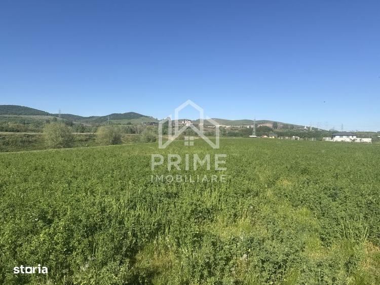 Teren intravilan de vanzare | 5800 MP Zona Orizont - 1