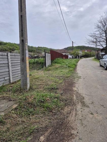 Teren de 979 mp, în Livezi