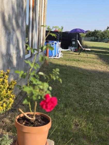 Casă cu 3 camere în Central