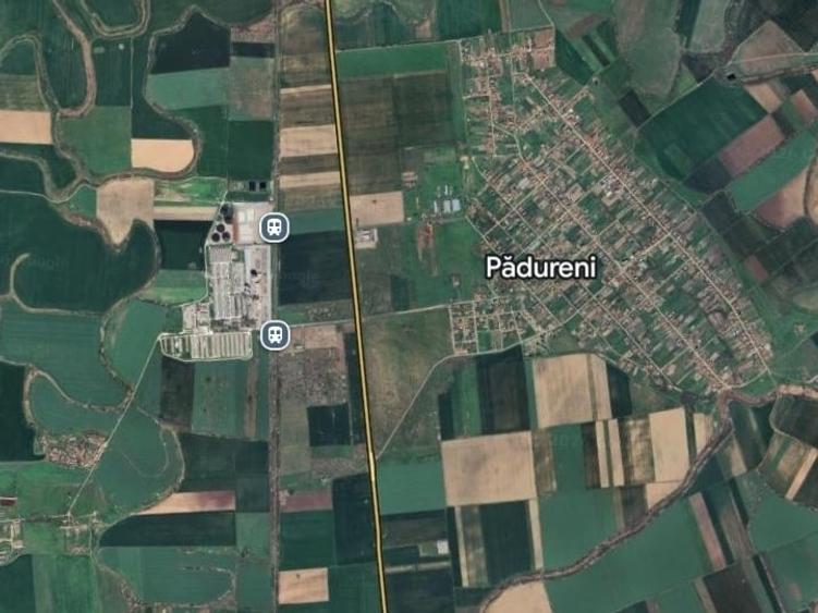 Teren Construcții intravilan de 7400 mp, în Pădureni (Jebel)