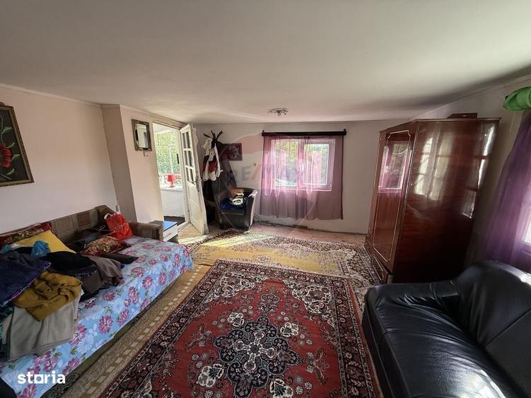 Casa de vanzare in natura la tara - Mihaesti - 19