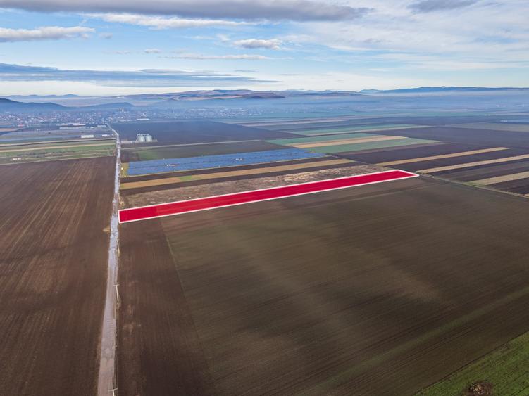 Teren Construcții intravilan de 16000 mp, în Hărman