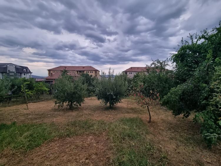 Teren Construcții de 1668 mp, în Cetate