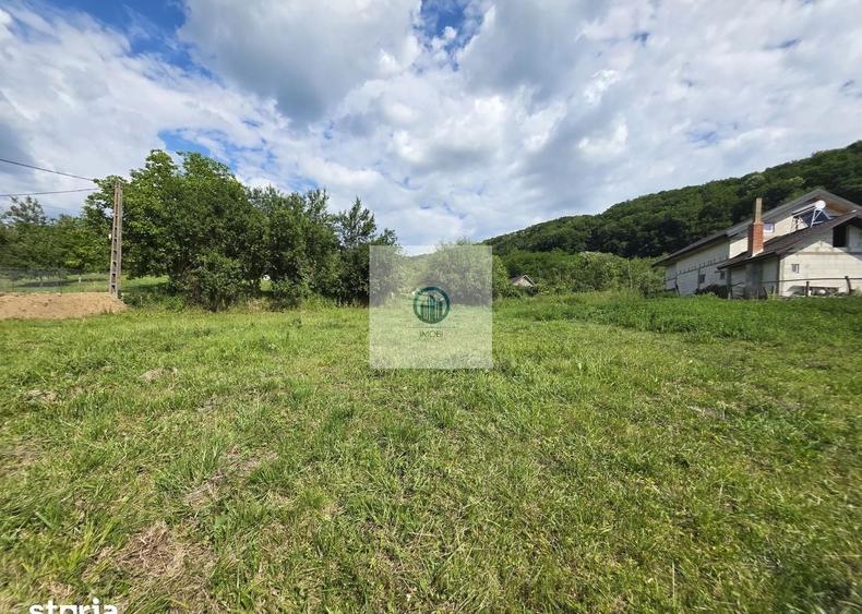 Teren agricol extravilan de 2340 mp, în Șoimuș