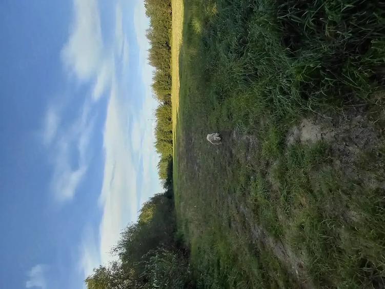 Teren de 4500 mp, în Stupinii Prejmerului