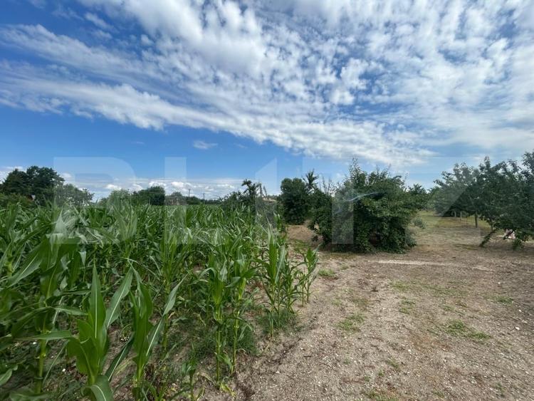 Teren Construcții intravilan de 6796 mp, în Crângurile de Jos